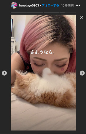 木村花　テラハ逝去