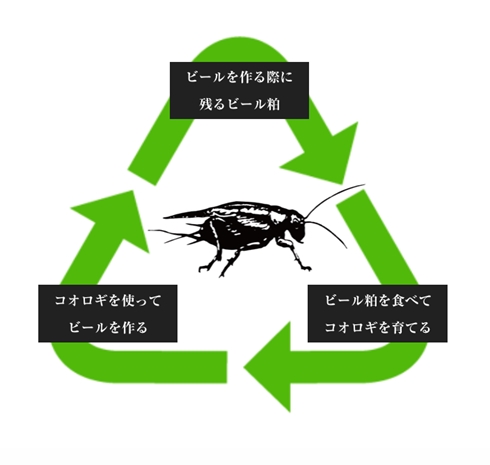 コオロギ コオロギビール