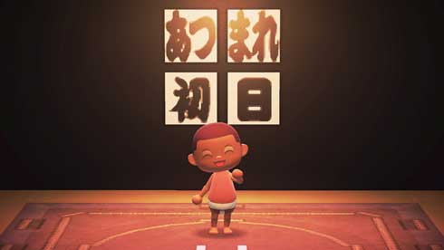 日本相撲協会 あつ森 あつまれ どうぶつの森 マイデザイン 公開 あつまれ大相撲