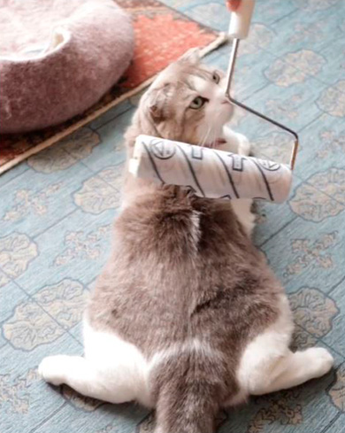 モアとメメさん