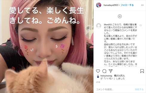 誹謗中傷 ネット 木村花 フィフィ 政治家 著名人 