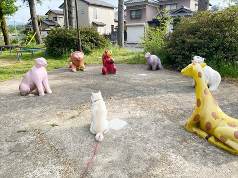 白柴『きなこ』のお気楽ブログ