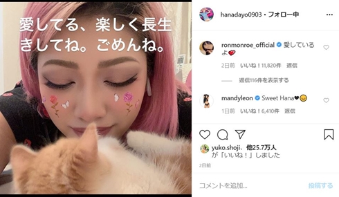 木村花 猫 からあげ ひなんちゅ テラスハウス