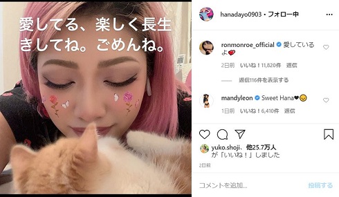 テラスハウス 木村花