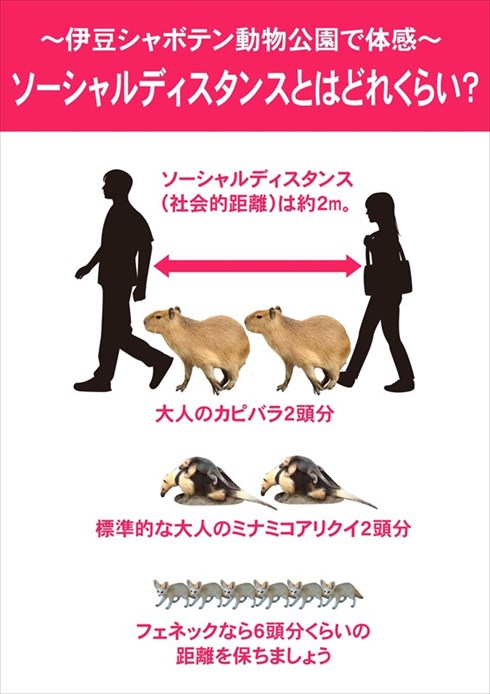 伊豆シャボテン動物公園