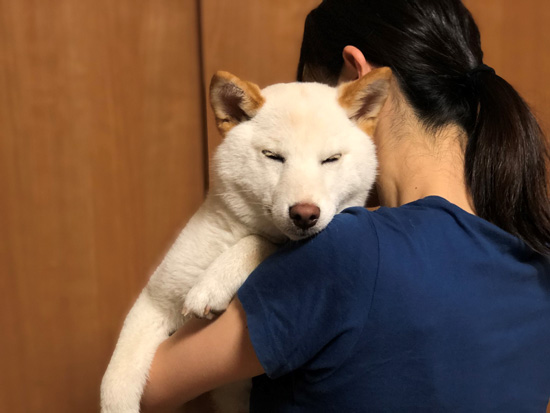 口ママさんとノンくん目閉じ