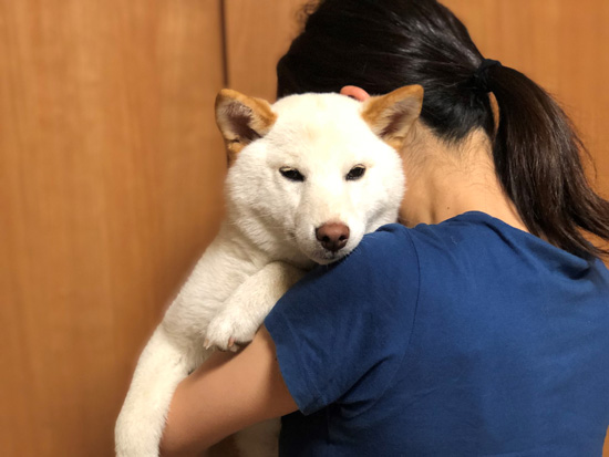 口ママさんとノンくん目明け