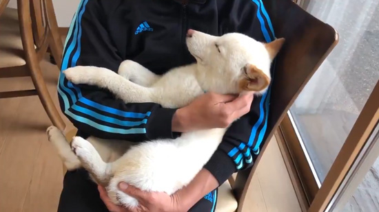 眠るノンくん引きめ