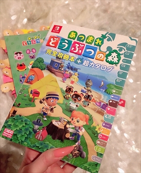 叶姉妹 美香 恭子 あつ森 攻略本 ふせん ブログ