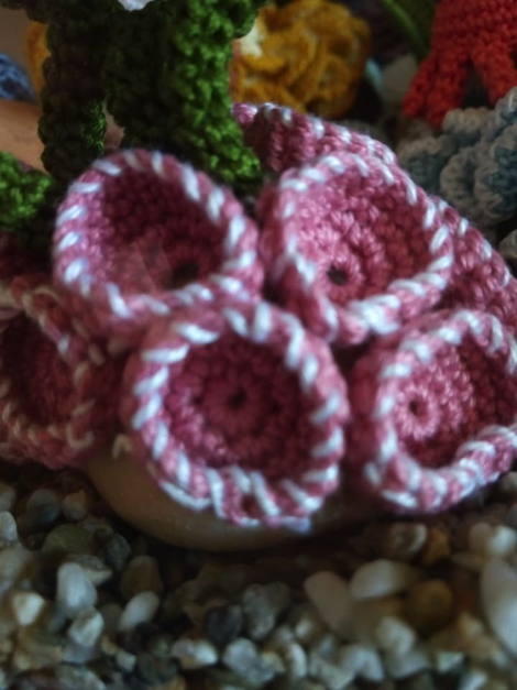 あみぐるみアクアリウム