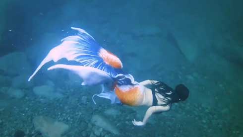 人魚 尻尾 泳ぐ シーラカンス 関西人魚会 マーメイド ステキ 美しい