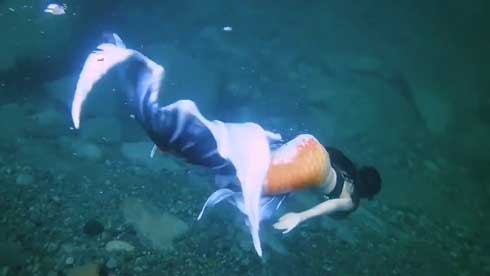 人魚 尻尾 泳ぐ シーラカンス 関西人魚会 マーメイド ステキ 美しい