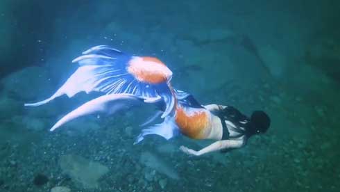 人魚 尻尾 泳ぐ シーラカンス 関西人魚会 マーメイド ステキ 美しい