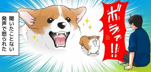 コーギー漫画