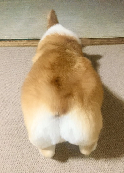 モフモフおしり