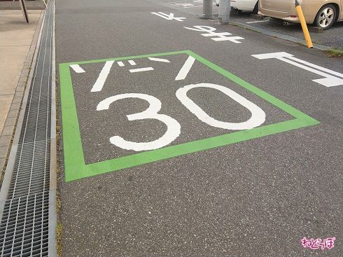 こちらは全体的に線が細い