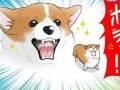 愛犬とのボール遊びは“遊び”じゃなかった……！　飼い主の手抜きを「ボラァ!!」と怒るコーギーを描いた漫画