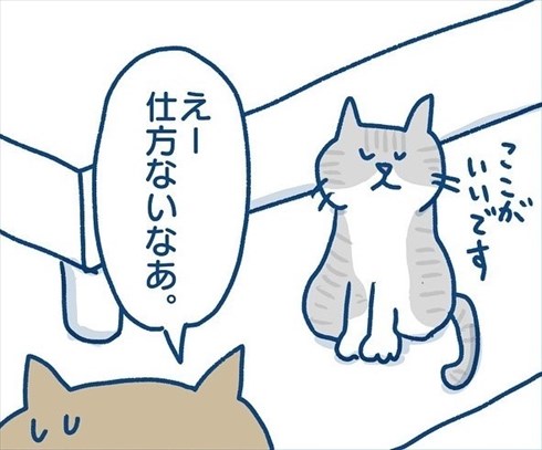 阻止ねこ