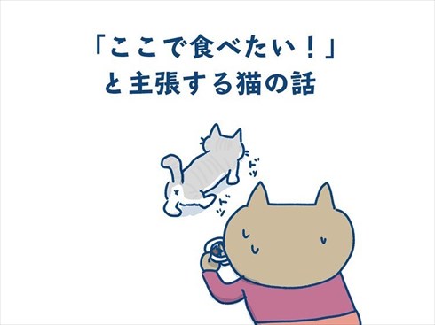 ここで食べたいと主張する猫ちゃん