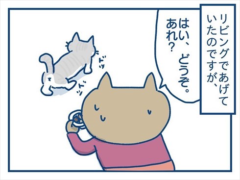 ここで食べたいと主張する猫ちゃん