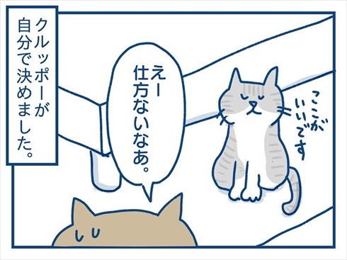 ここで食べたいと主張する猫ちゃん