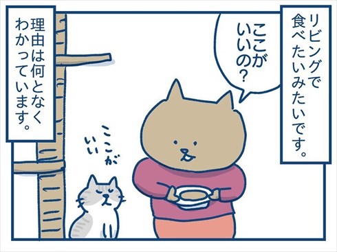 ここで食べたいと主張する猫ちゃん