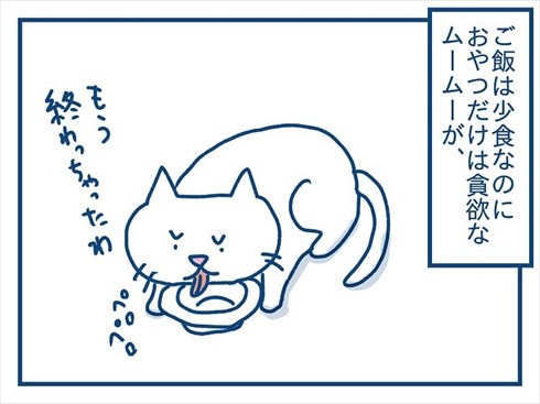 ここで食べたいと主張する猫ちゃん