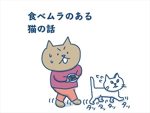 ここで食べたいと主張する猫ちゃん