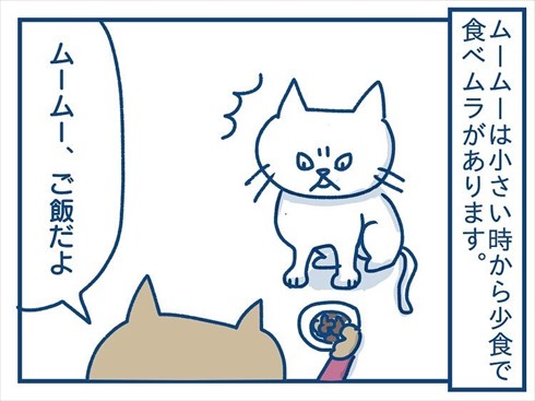 ここで食べたいと主張する猫ちゃん