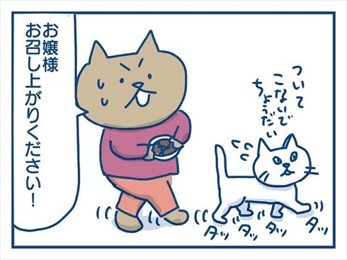 ここで食べたいと主張する猫ちゃん