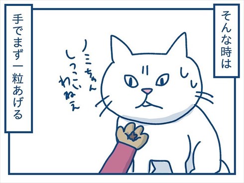ここで食べたいと主張する猫ちゃん