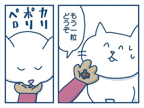 ここで食べたいと主張する猫ちゃん