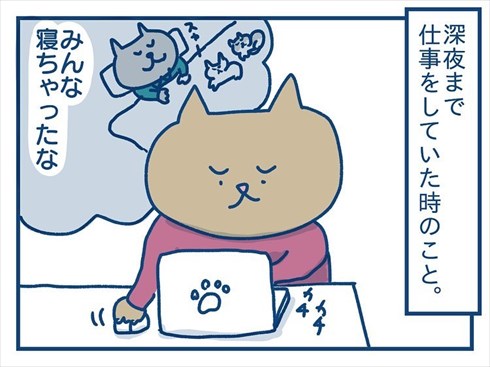 ここで食べたいと主張する猫ちゃん