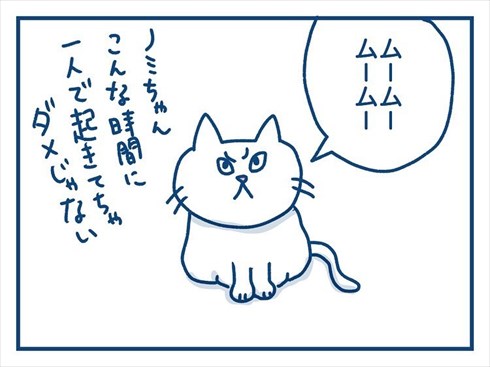 ここで食べたいと主張する猫ちゃん