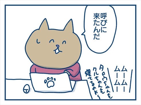 ここで食べたいと主張する猫ちゃん