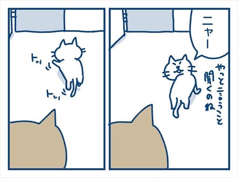 ここで食べたいと主張する猫ちゃん