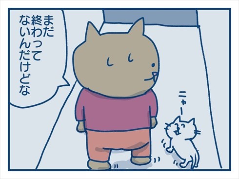 ここで食べたいと主張する猫ちゃん
