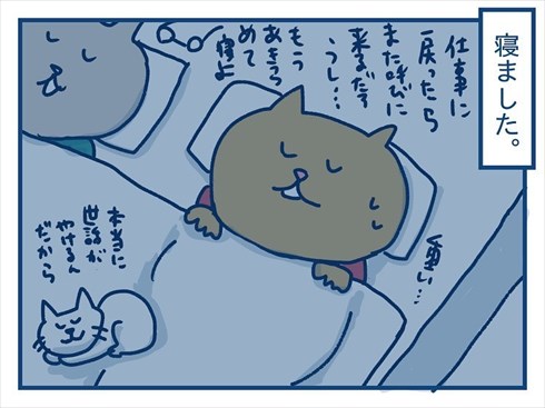 ここで食べたいと主張する猫ちゃん