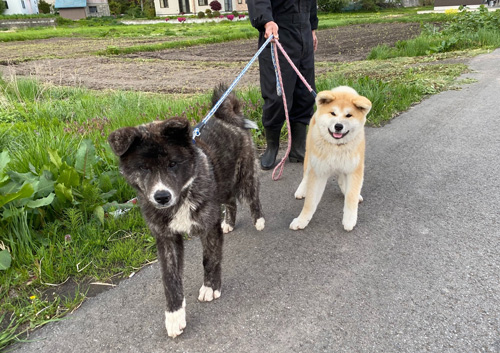 リュウくんとしょうちゃん