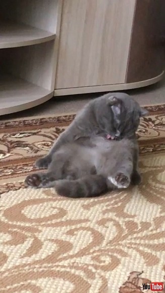 Falls Over Backwards