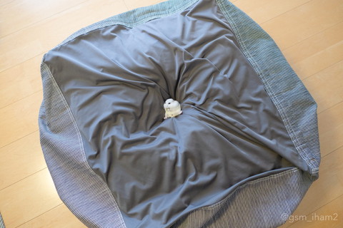 ダメにするソファハムスター