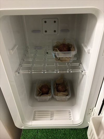 那須どうぶつ王国ライチョウ産卵