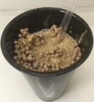 セブンカフェ カフェラテスイーツ