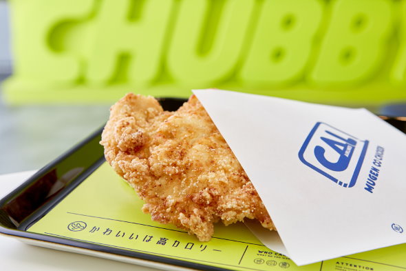 かわいいは高カロリー コンセプト CHUBBY AIRLINES フリュー 浜倉的商店製作所