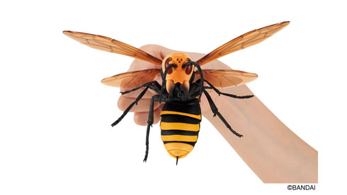 スズメバチ