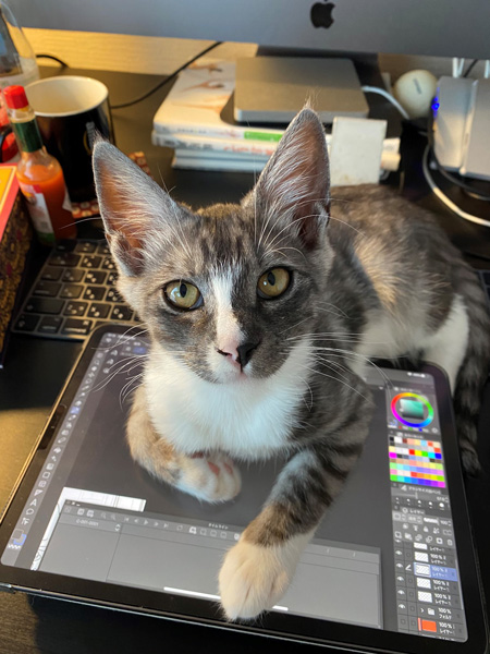 邪魔するハクくん