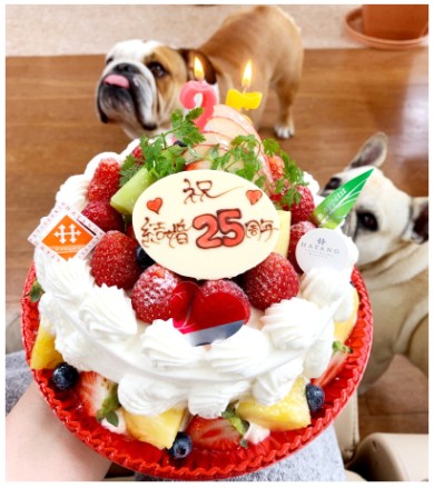 北斗晶 佐々木健介 プロレス 結婚 息子 YouTube ブログ