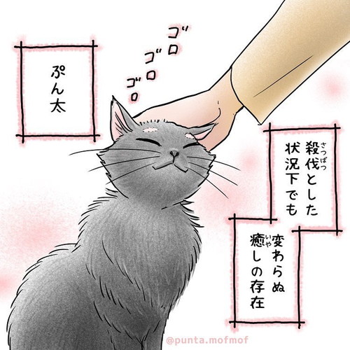 変わらぬ癒しの存在ぷん太くん