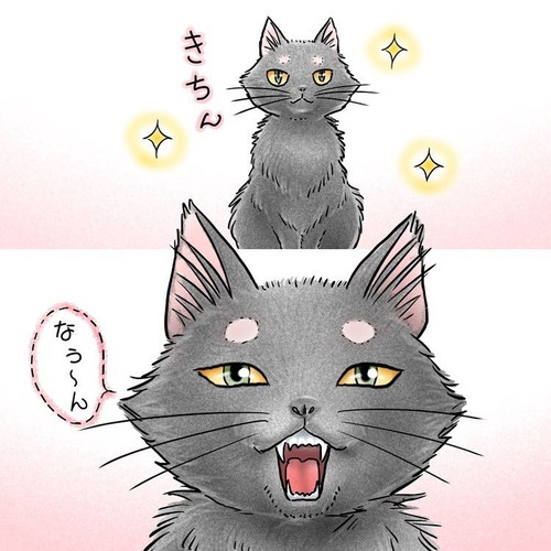 変わらぬ癒しの存在ぷん太くん