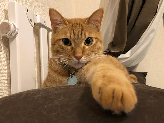 イチそらあめさん